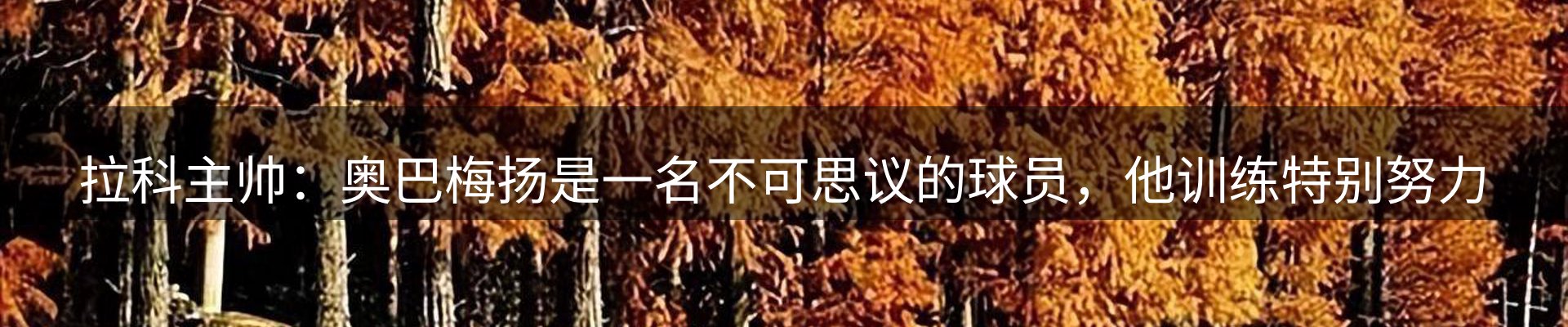 资讯聚焦